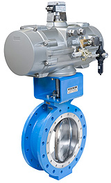 V&aacute;lvula mariposa triple-exc&eacute;ntrica LEUSCH LTR 43